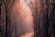 九游体育：世界杯最有范教练天团来袭!暂时缺了梅西的偶像.