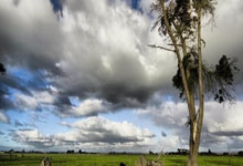 九游体育：[CBA]孙铭徽因伤缺阵 浙江方兴渡遇挑战.