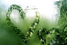 九游体育：辽宁首节大胜山东！威尔斯暴走，付豪+2首发齐贡献，山东太铁！.